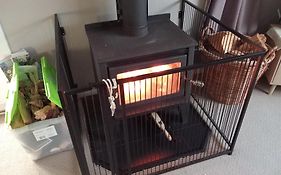 Cosy Kiwi Bach Kid And Pet Friendly Beach House